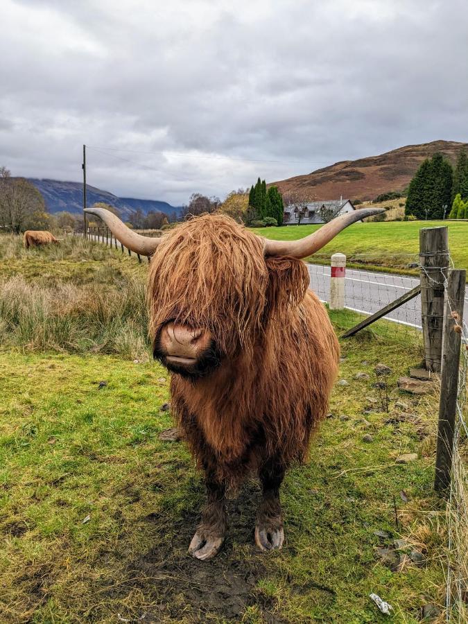 Lochaline Hotel エクステリア 写真